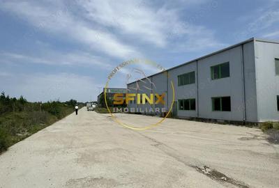 Spațiu comercial, de 622 mp, în Mogoșoaia - 1