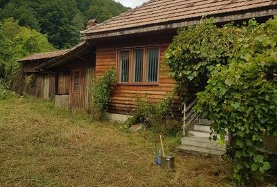 Poiana Sarata, Bacau - 2