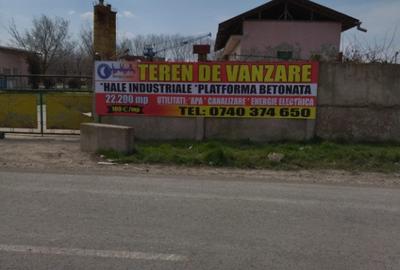 Teren de 222000 mp, în Babadag - 5