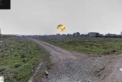 Teren intravilan 15.000mp langa FRF si Padure - Mogosoaia - 4