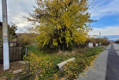 Teren intravilan, 4967 mp, utilita?i, sat Rasova, Bale? - 5