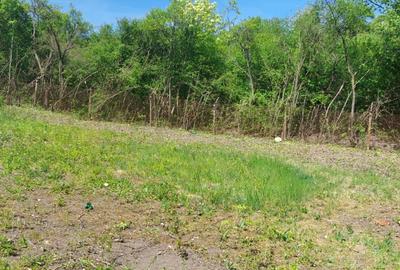 Teren Construcții intravilan de 700 mp, în Aurel Vlaicu - 3