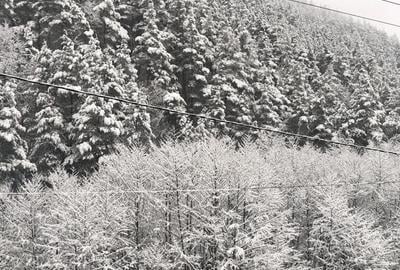 Proprietate in Rasinari - 3