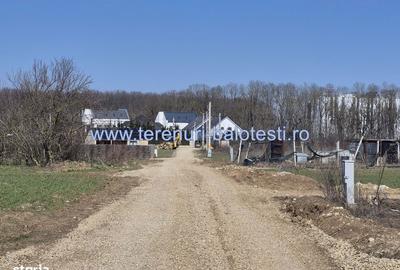 Spațiu comercial, în Balotești - 8