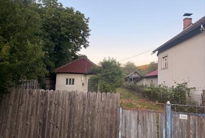 Casă cu 4 camere cu Teren 1051 Mp în Târgu Logrești - 8