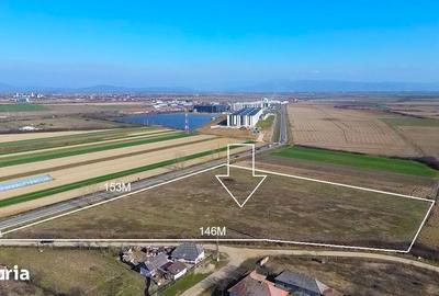 Teren de 14300 mp, în Medieșu Aurit - 6