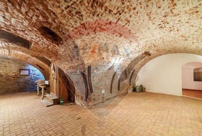 Vand sau schimb casa 6 camere + spatiu comercial, Aradul Nou. - 3