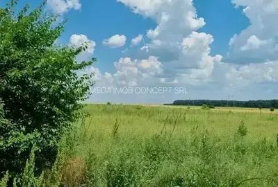 Teren intravilan de 428.98999023438 mp, în Vadu Anei - 7