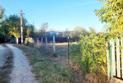 Teren de 4400 mp, în Ceaușești - 6