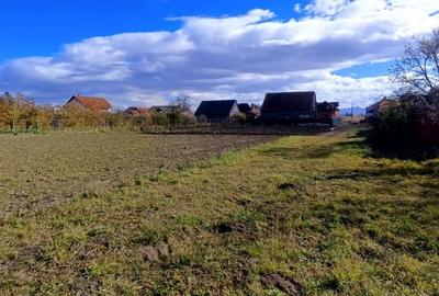 Lot de teren provenit din gradina unei case din centrul cartierului Stupini - 4