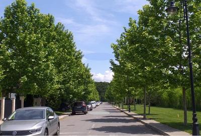 CORBEANCA PARK - Teren 708 mp + Aut Constr, Vila individuala - 6 camere, P+1+M - 3