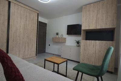 Garsonieră decomandată în Tudor - 1