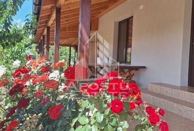 Casa individuala in Ianova,Comuna Remetea Mare - 4