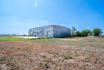 Hala de vanzare, 600 mp constructie, 7000 mp teren, Racari Dambovita - 23