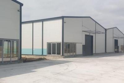 Spațiu comercial, de 540 mp, în Moara Domnească - 8