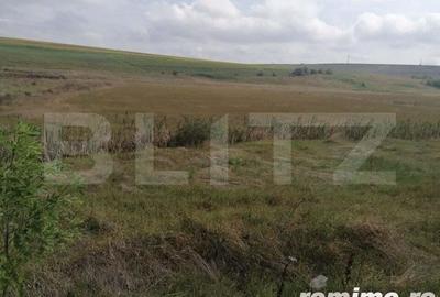 Teren intravilan 30.000 mp cu PUZ, parcelare, deschidere la DE 58, Letcani Teren intravilan 30.000 mp cu PUZ, parcelare, deschidere la DE 58, Letcani - 2