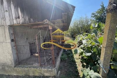 Casa de vanzare in Bacau Valea Seaca teren generos și anexe - 11