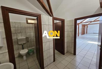 Spatiu de birouri, 220 mp utili, Centru, zona Tribunal - 5