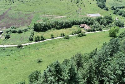 Teren de 8000 mp, în Micești - 5