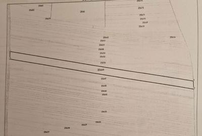 Teren de 11250 mp, în Poienarii Burchii - 1