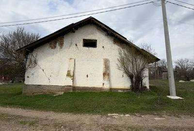 Spațiu comercial, în Copaciu - 1