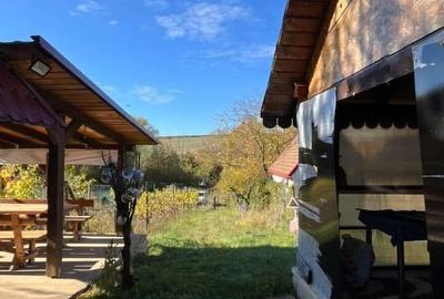 Casă de vacanță, 1100 MP teren, Cauaceu, Biharia, Bihor. - 9