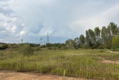 Teren de 5200 mp, în Peștișu Mare - 4