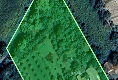 Casă cu 3 camere în Mișca - 7