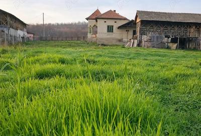 Teren de 4443 mp, în Bratia din Vale - 8