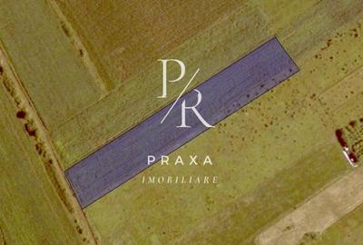 Teren agricol extravilan de 4940 mp, în Exterior Nord - 1