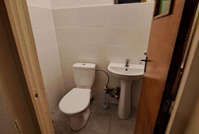 Oferta inchiriere apartament 3 camere Lacul Tei Parcul Circului - 18