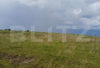 Teren de 1249 mp, în Copăceni - 4