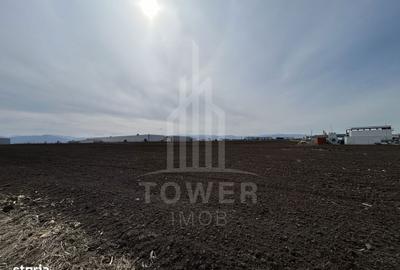 Spațiu comercial, în Vest - 2