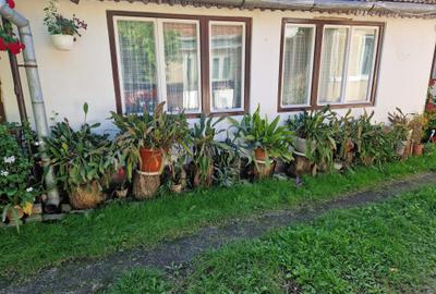 Casă individuală cu 3 camere în Ernei