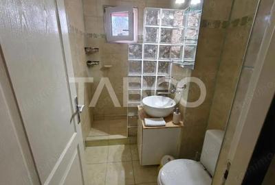 Apartament cu 3 camere decomandat, mobilat în Vasile Aaron - 5