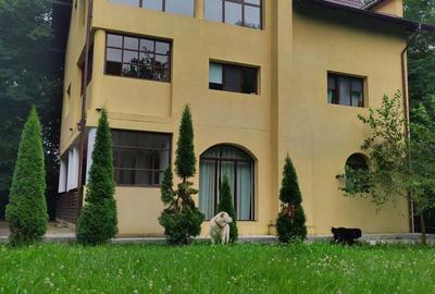 Casă cu 4 camere în Mislea - 5