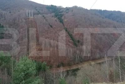 Teren de 140000 mp, în Central - 6