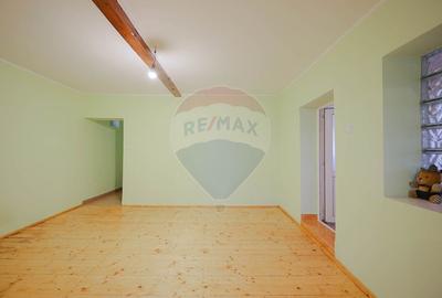 Casă cu teren de 3474 mp în Sânnicolau Român - 4