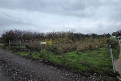 Teren de 1780 mp, în Adunații-Copăceni