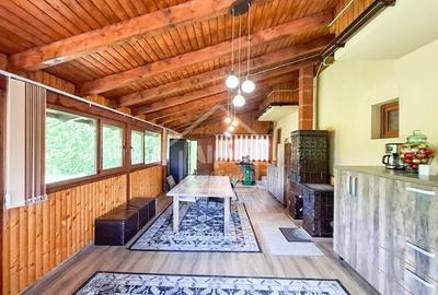 Duplex Zona Linistita Carpinis - 8