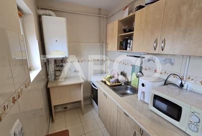 Apartament de vanzare 2 camere mobilat utilat Lazaret - 3