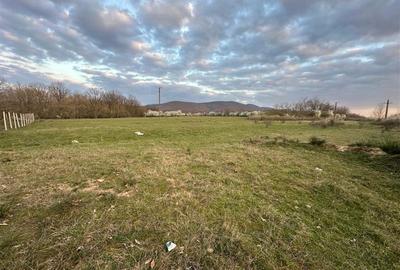 Teren Construcții intravilan de 10000 mp, în Sud - 7