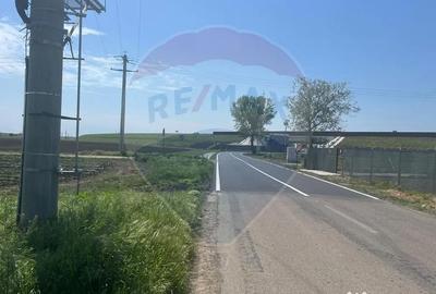 Teren de 6300 mp, în Jorăști - 2