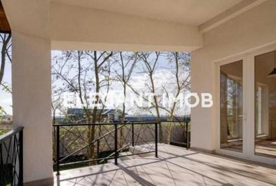 Vila Tancabesti-Snagov - 11