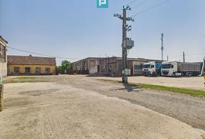 Spațiu industrial, de 6,179 mp, în Orțișoara - 45