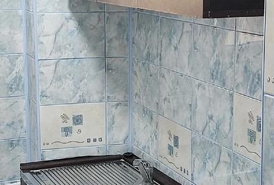 Garsonieră decomandată în Găvana - 5