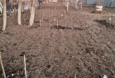 Casă cu 4 camere în Unirea - 5