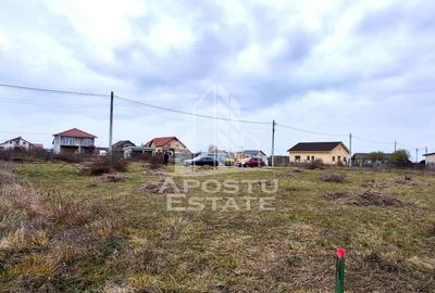 Teren intravilan 500mp Mandruloc - 3