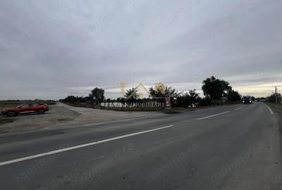 Spațiu comercial, de 17,770 mp, în Săcălaz - 1