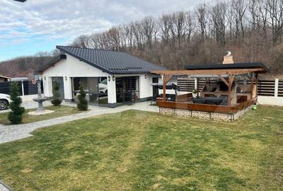 Priseaca Comision 0% cumparator Vila de lux - 1